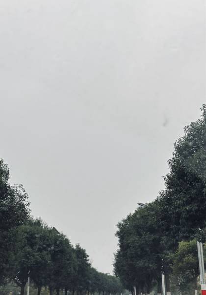 推荐艺人