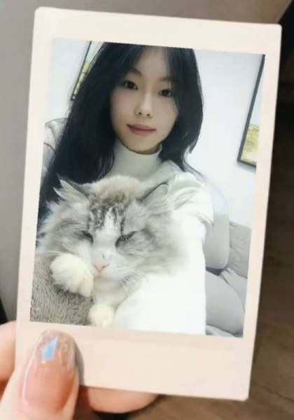 推荐艺人