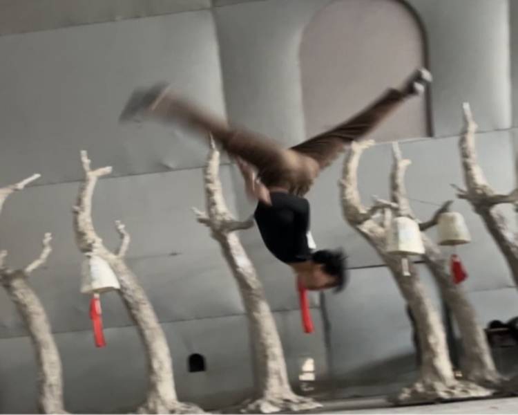 艺人背景图