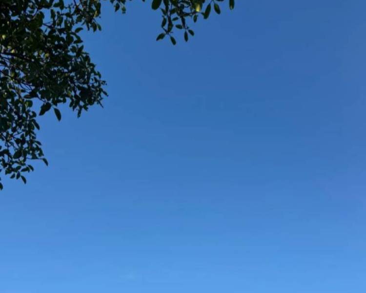 艺人背景图