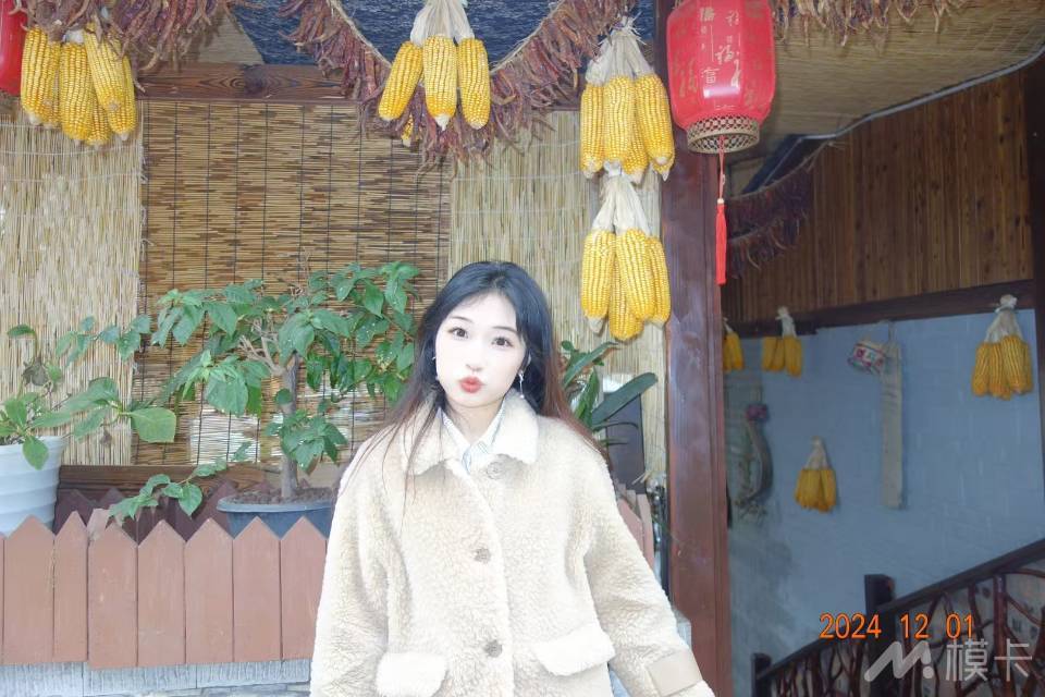 作品图片
