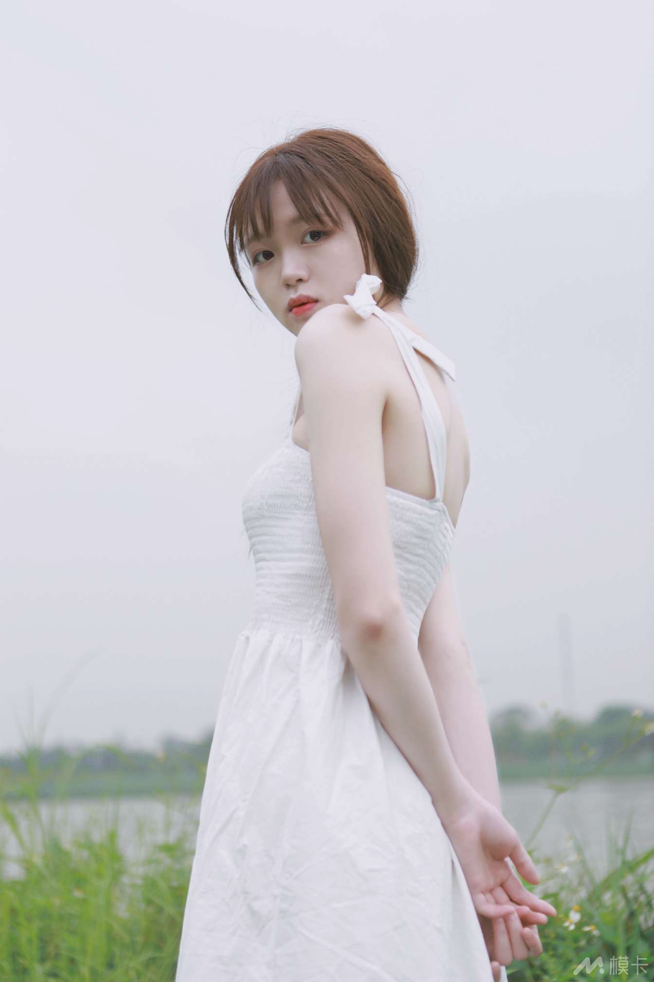 作品图片