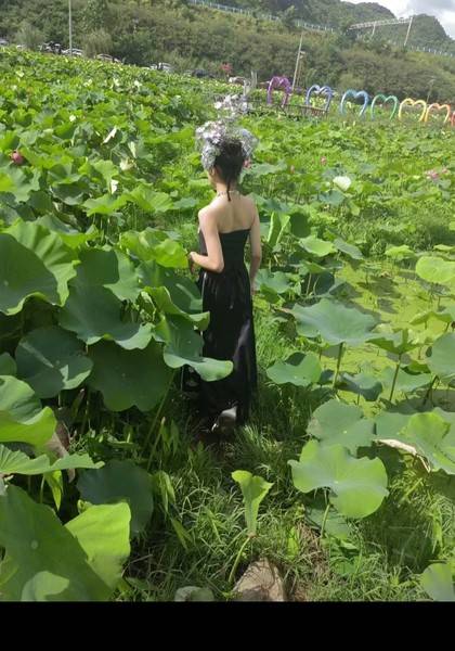 形象照片