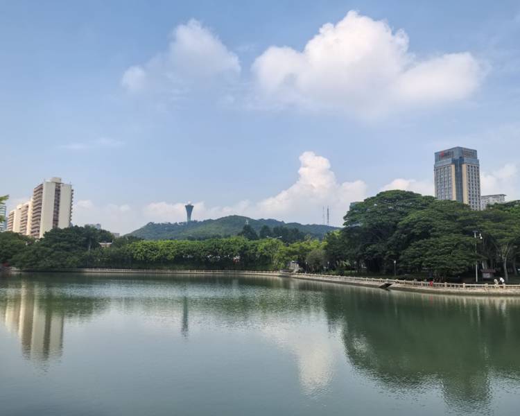 艺人背景图