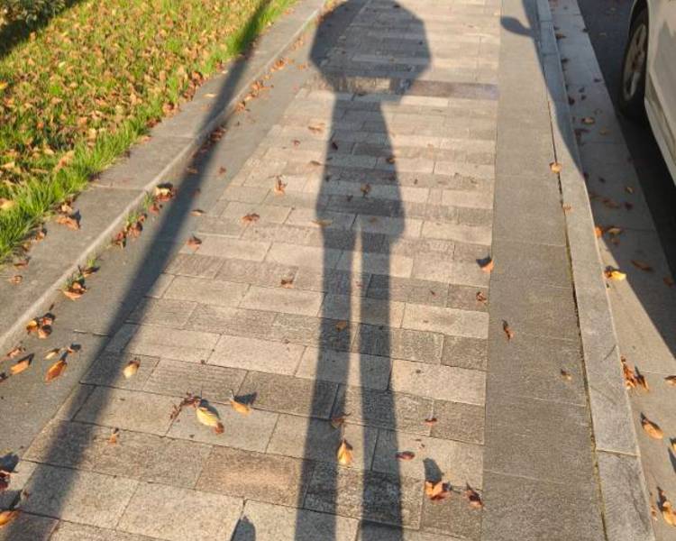 艺人背景图