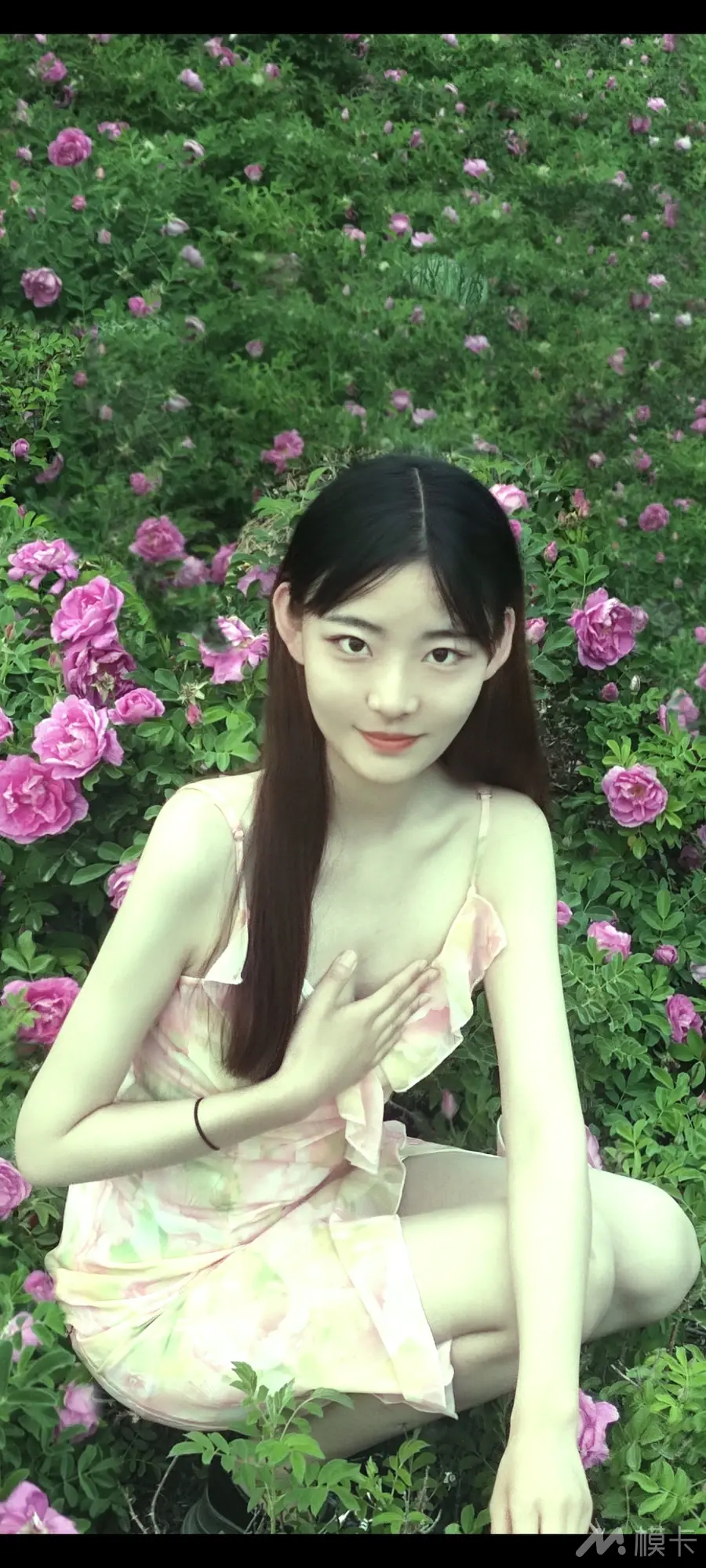 作品图片