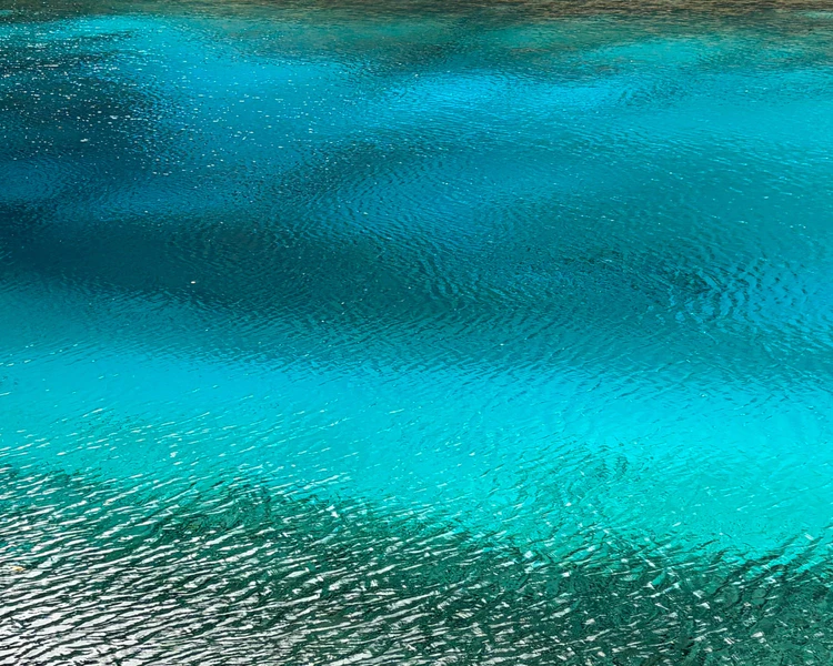艺人背景图