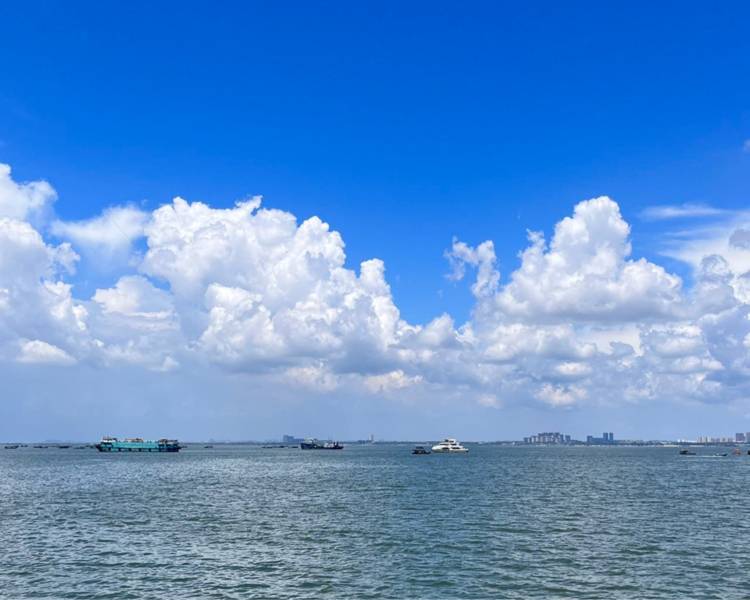 艺人背景图
