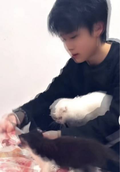 形象照片