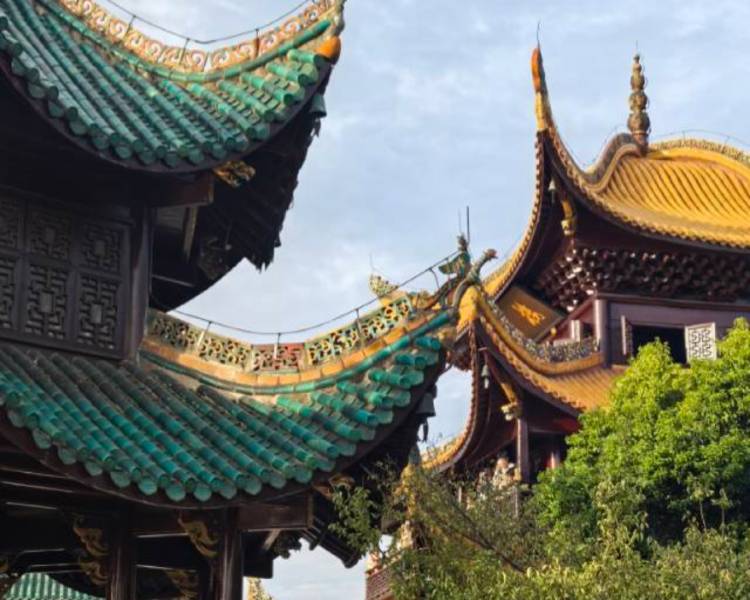艺人背景图