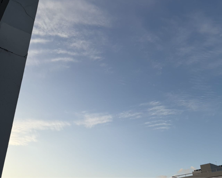 艺人背景图