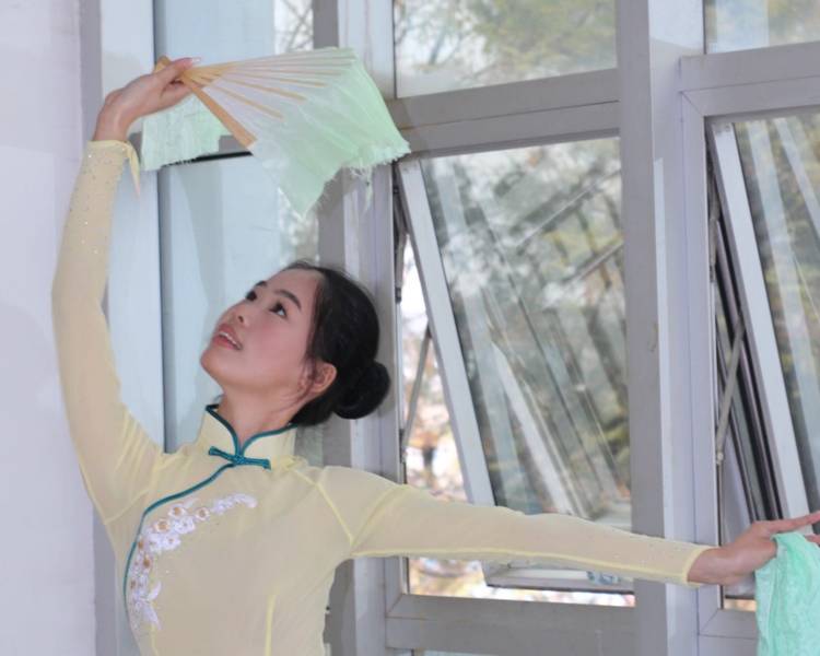 艺人背景图