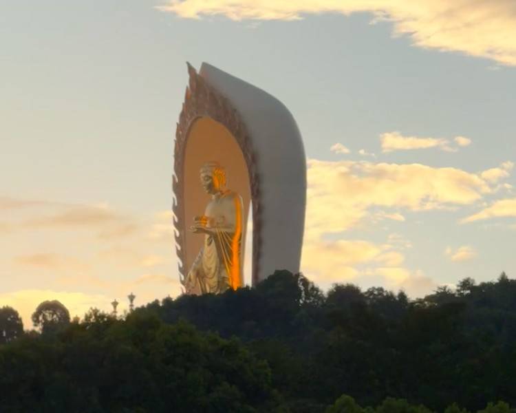 艺人背景图