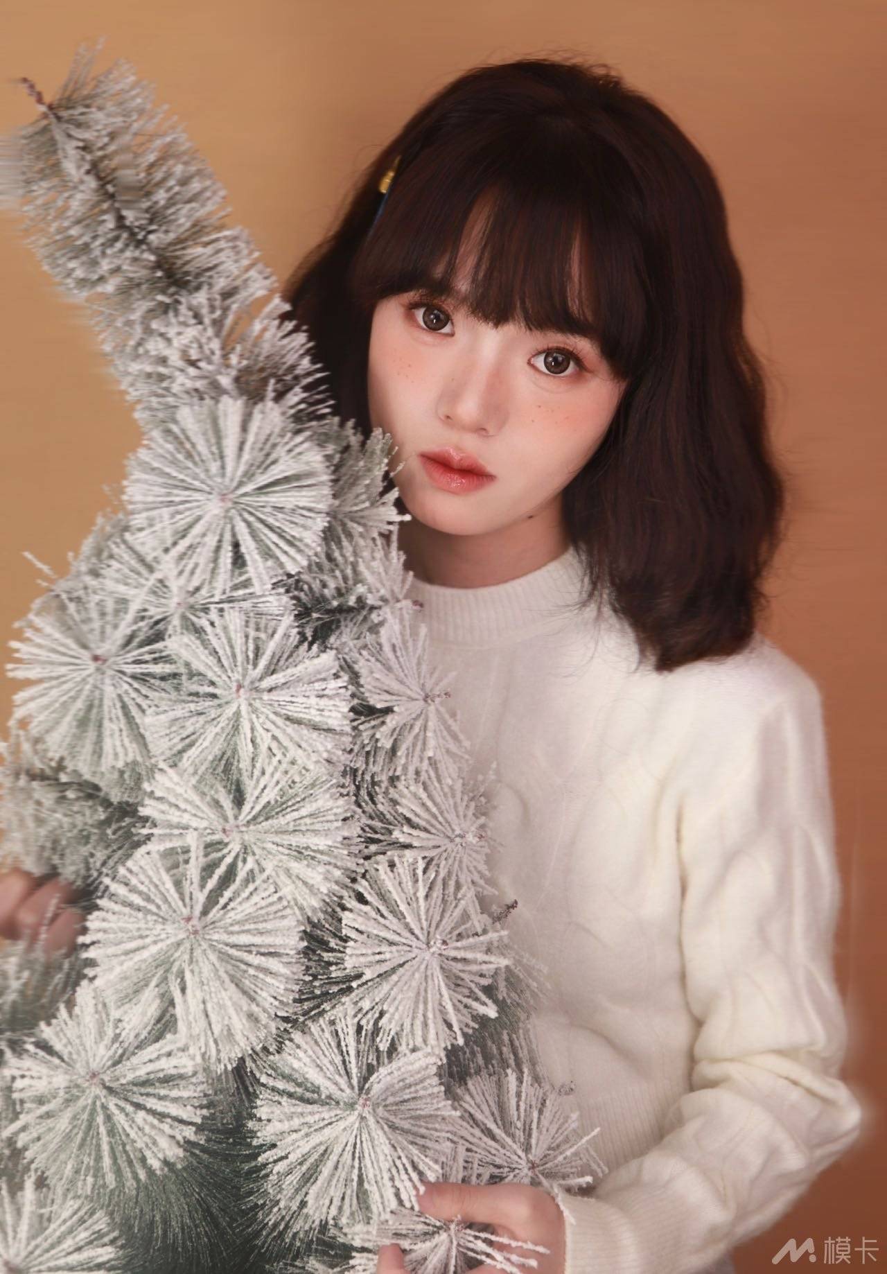 作品图片