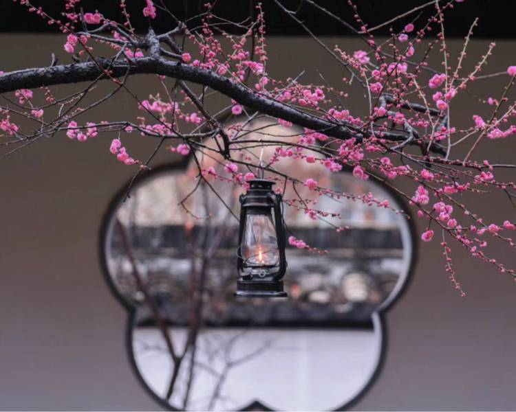 艺人背景图