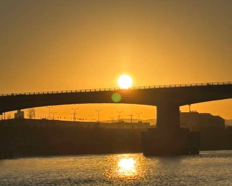 艺人背景图