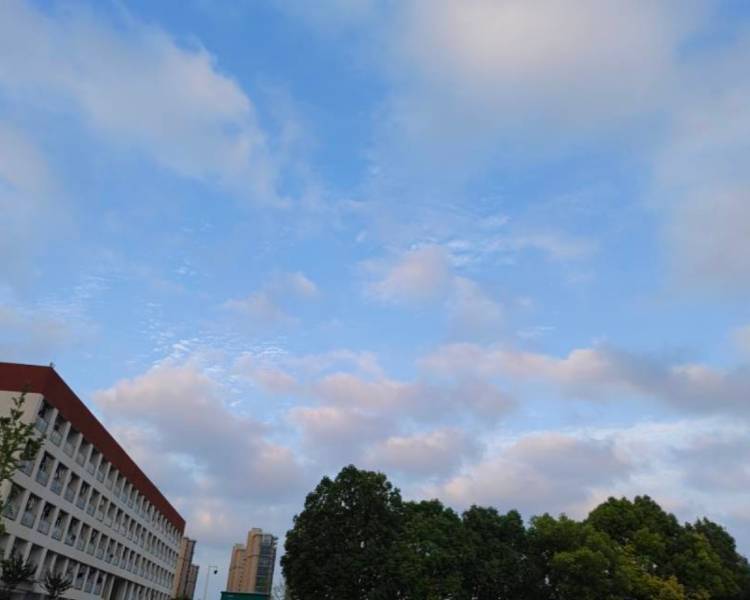 艺人背景图