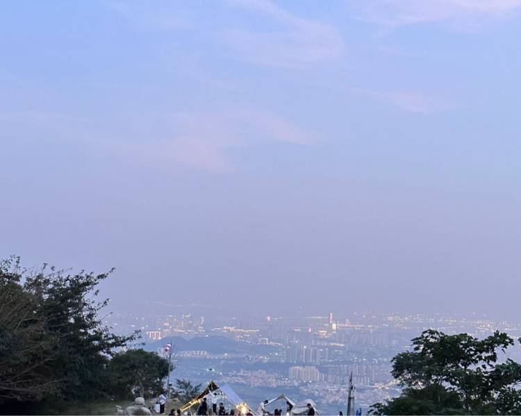 艺人背景图