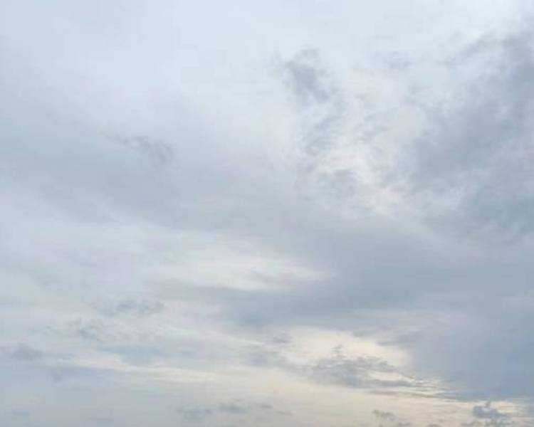 艺人背景图