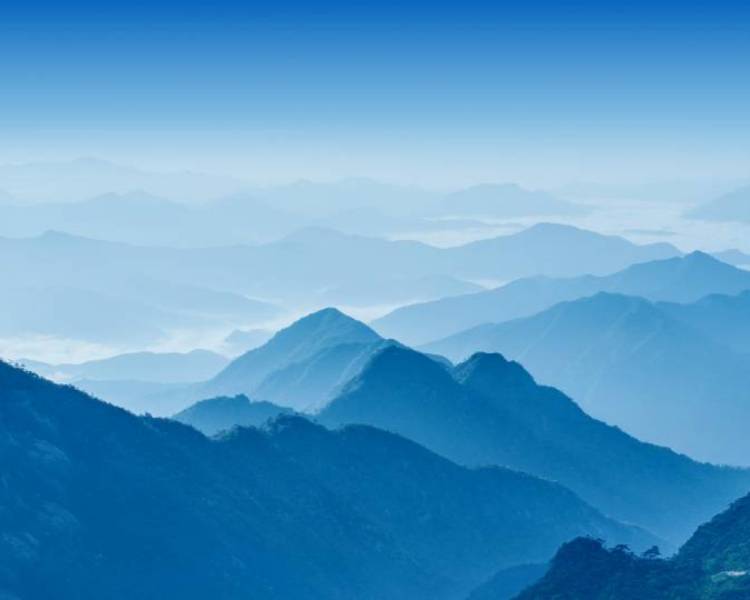 艺人背景图