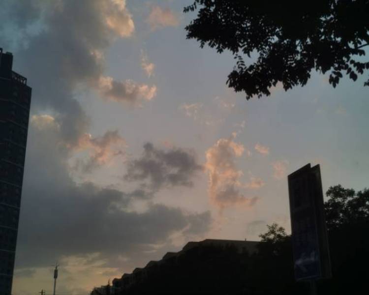 艺人背景图