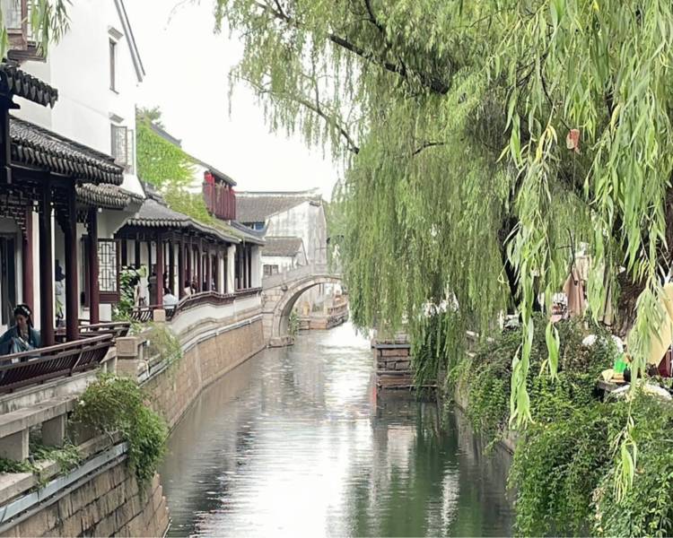 艺人背景图