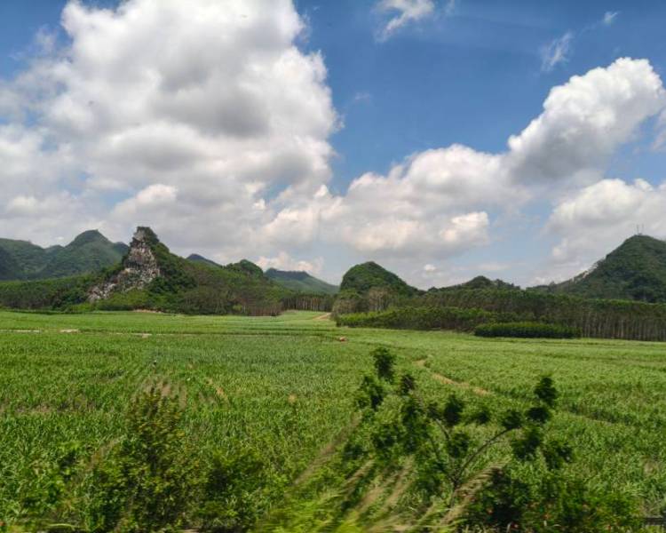 艺人背景图