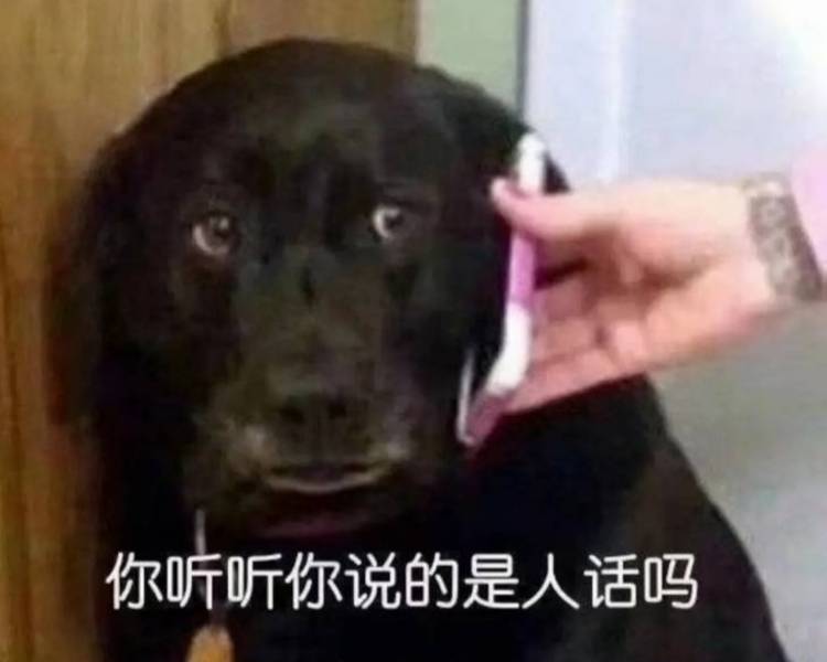 艺人背景图
