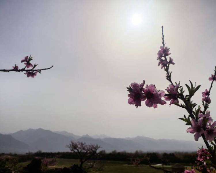 艺人背景图
