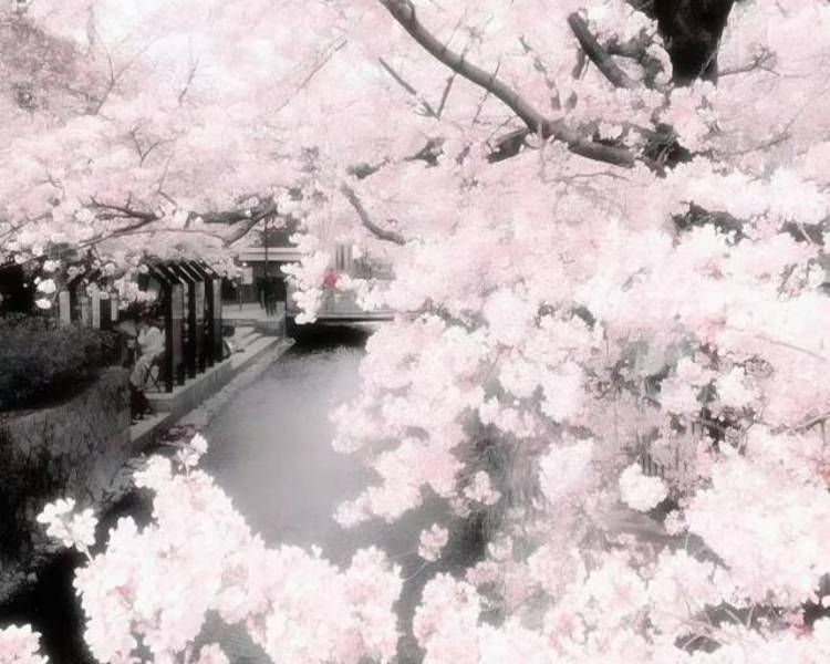 艺人背景图