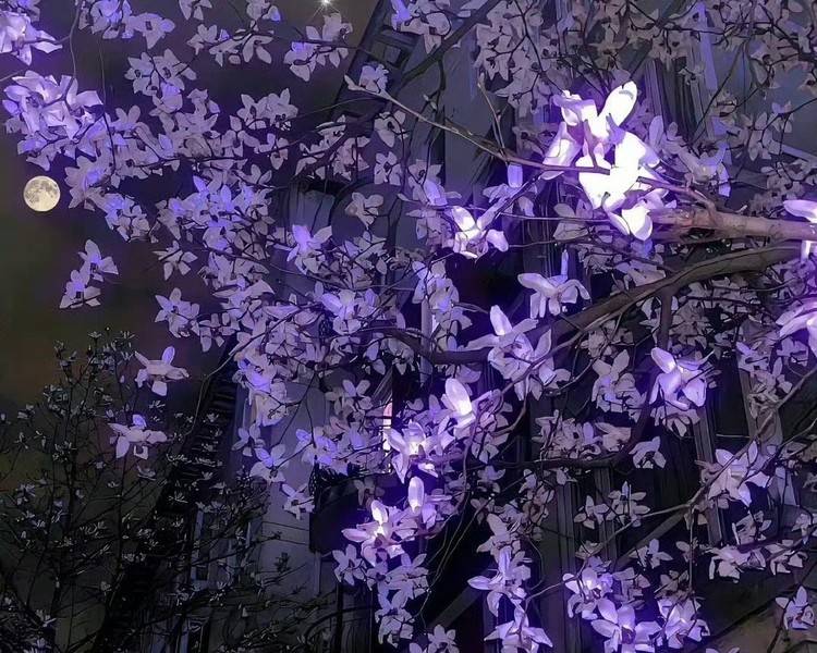 艺人背景图