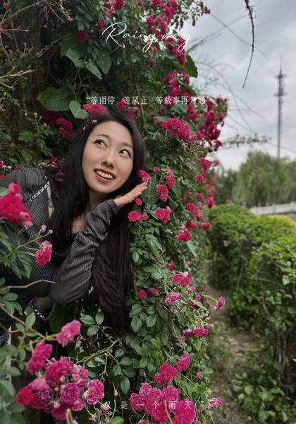 推荐艺人