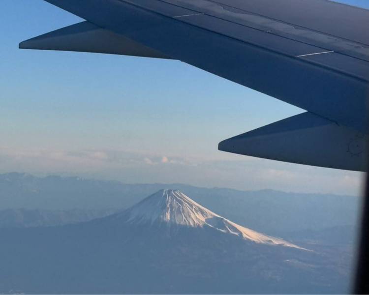艺人背景图