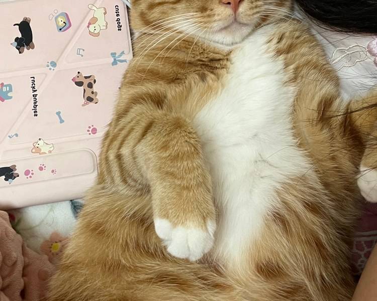 艺人背景图