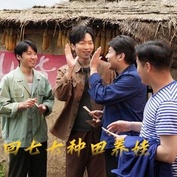 经历图片