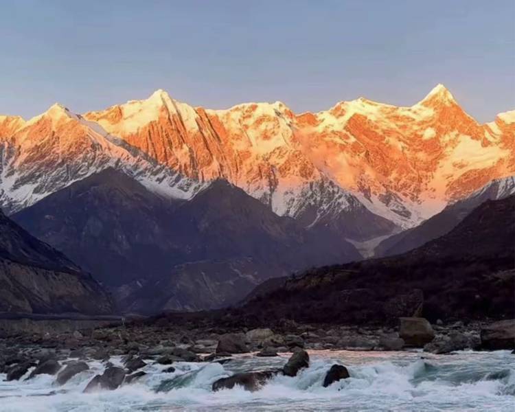艺人背景图