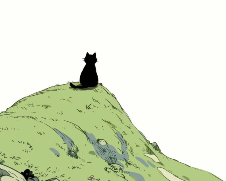 艺人背景图