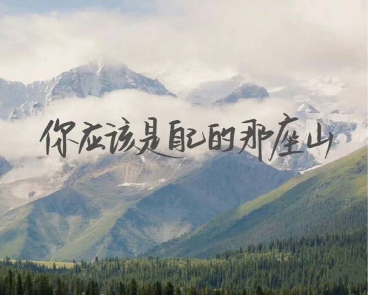 艺人背景图