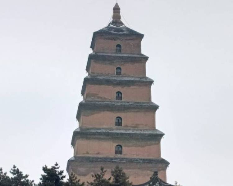 艺人背景图