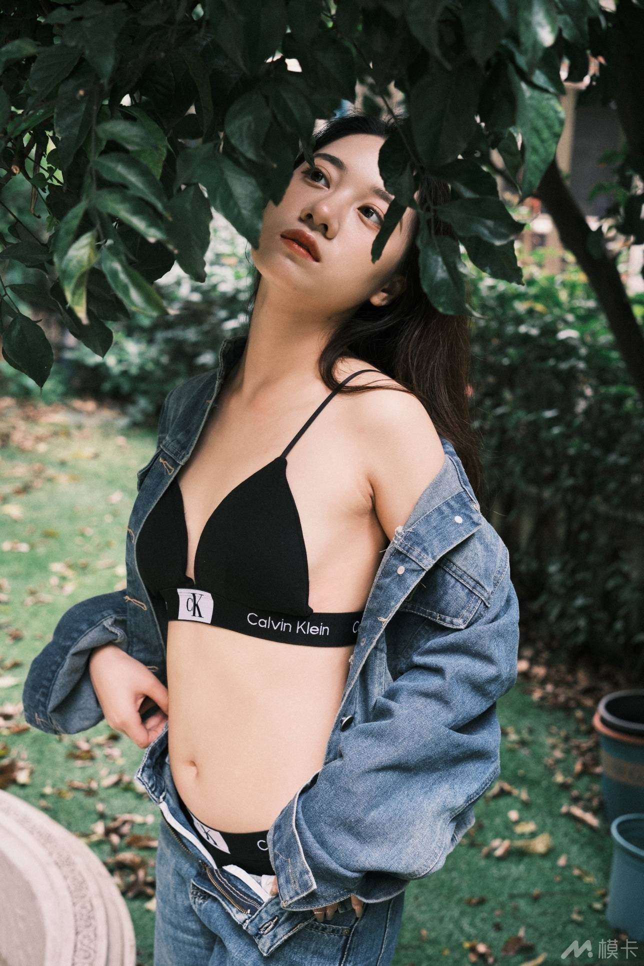 通告图片