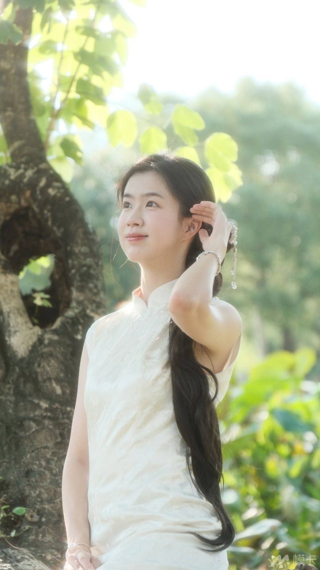 作品图片