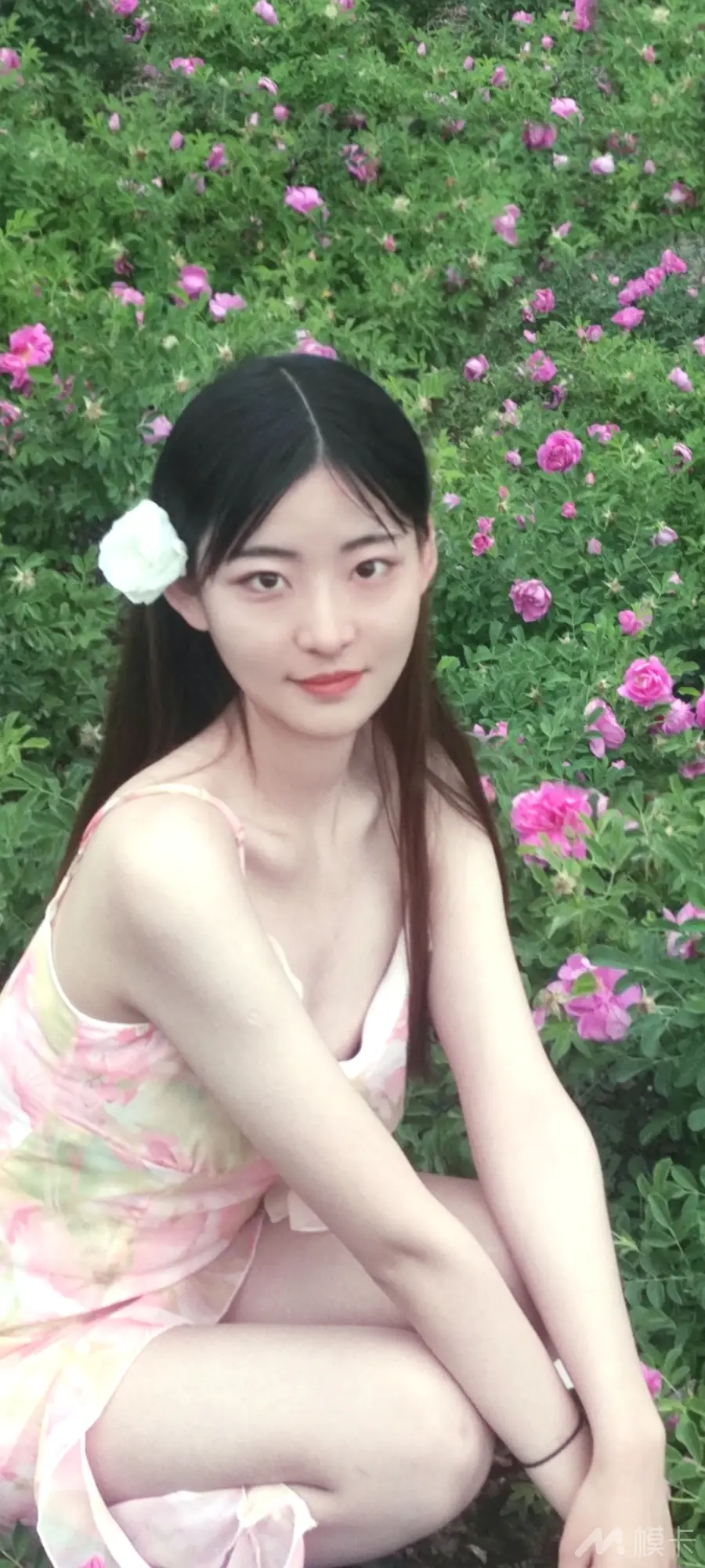 作品图片