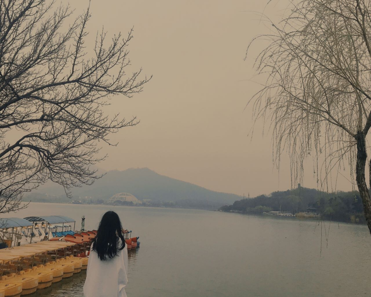 艺人背景图