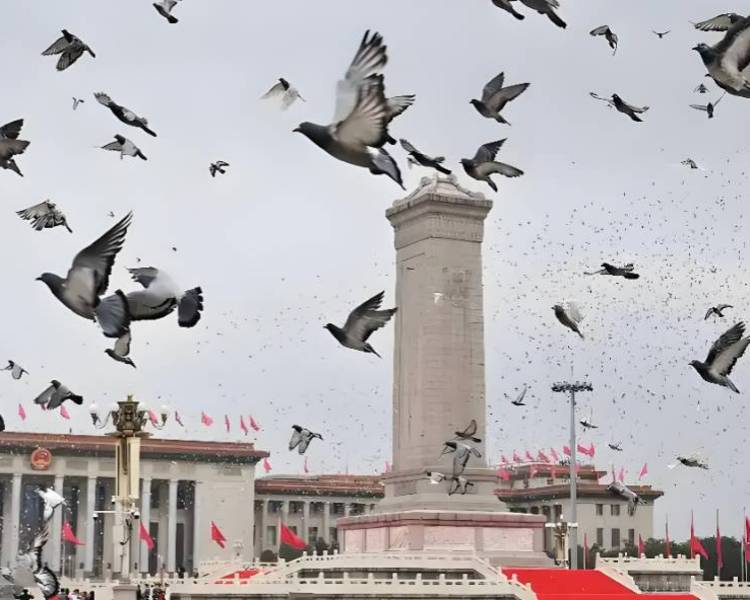 艺人背景图