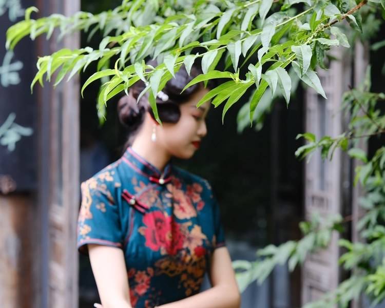 艺人背景图