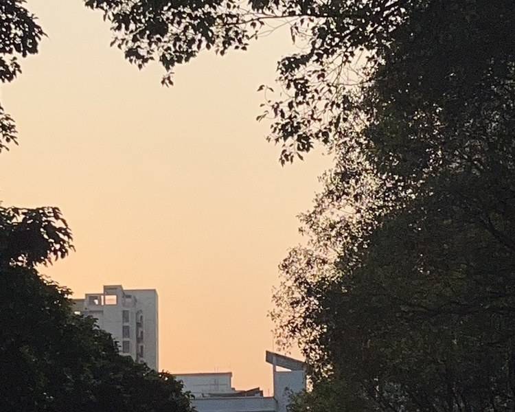 艺人背景图