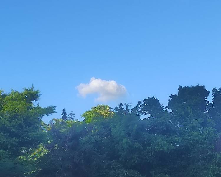 艺人背景图