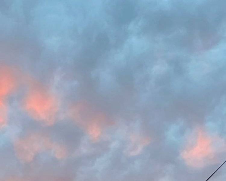 艺人背景图