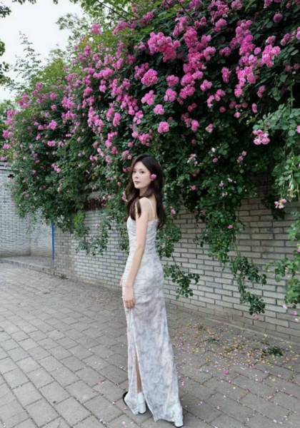 推荐艺人