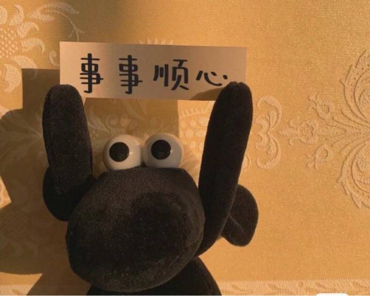 艺人背景图
